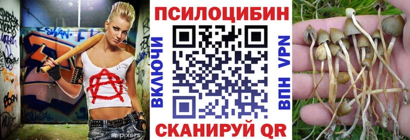 закладка  blacksprut ссылки  Псилоцибиновые грибы Psilocybe  Суровикино 